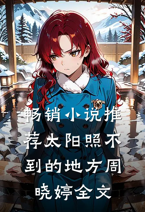 畅销小说推荐太阳照不到的地方周晓婷全文