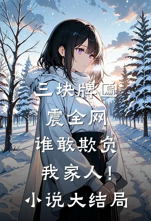 三块牌匾震全网，谁敢欺负我家人！小说大结局