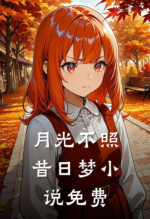 月光不照昔日梦小说免费