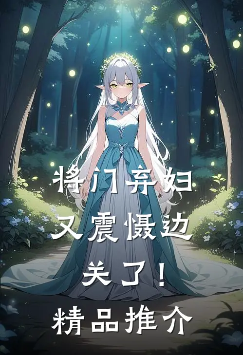 将门弃妇又震慑边关了！精品推介