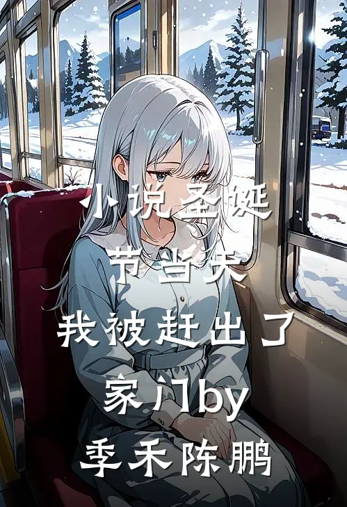 小说圣诞节当天，我被赶出了家门by季禾陈鹏