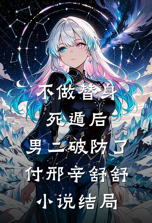 不做替身死遁后，男二破防了付邢辛舒舒小说结局