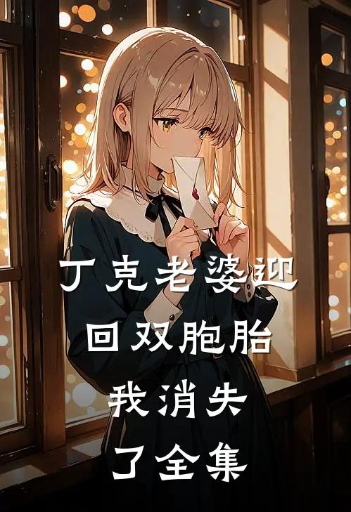 丁克老婆迎回双胞胎，我消失了全集