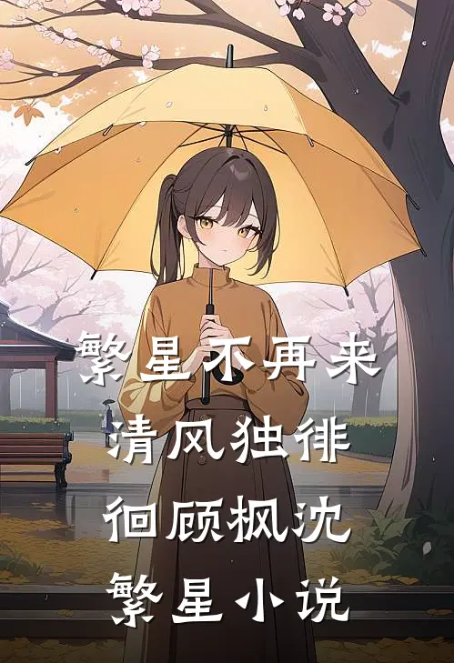 繁星不再来，清风独徘徊顾枫沈繁星小说