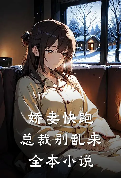 娇妻快跑，总裁别乱来全本小说
