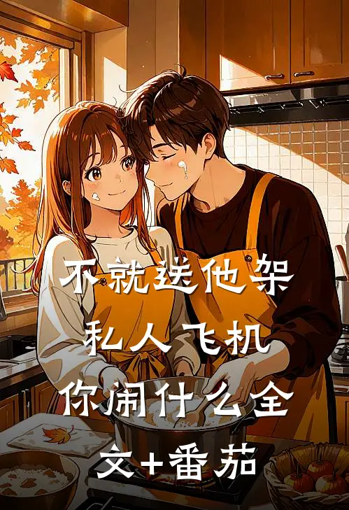 不就送他架私人飞机，你闹什么全文+番茄