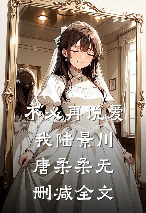 不必再说爱我陆景川唐柔柔无删减全文