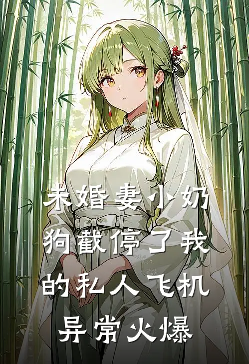 未婚妻小奶狗截停了我的私人飞机异常火爆