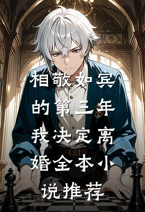 相敬如宾的第三年，我决定离婚全本小说推荐