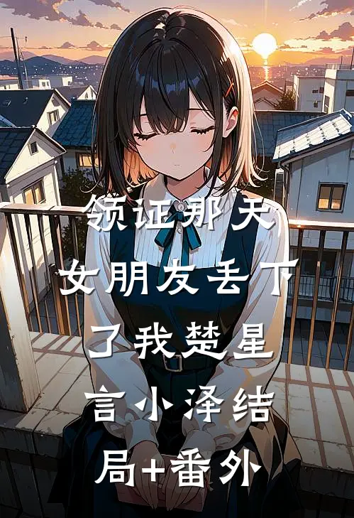 领证那天，女朋友丢下了我楚星言小泽结局+番外