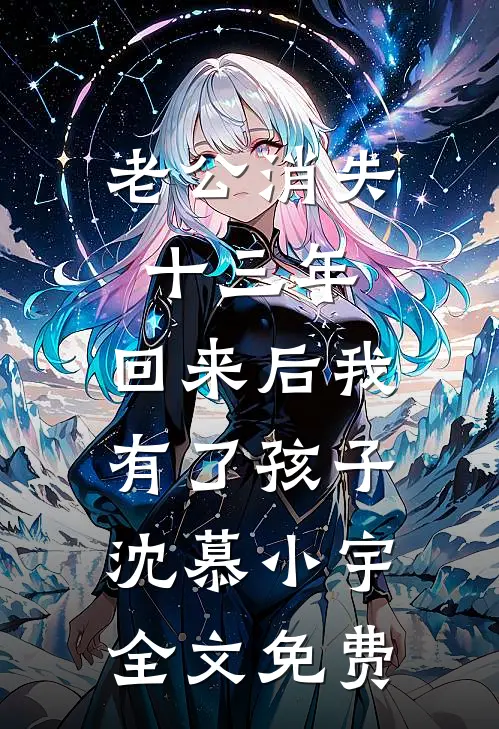 老公消失十三年，回来后我有了孩子沈慕小宇全文免费