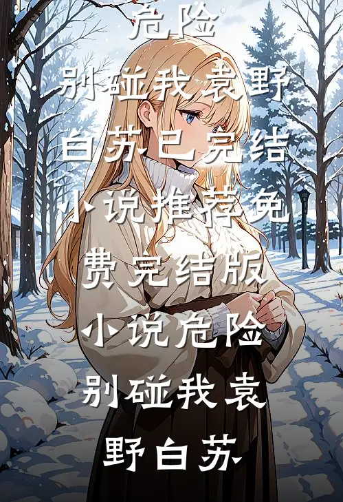 危险，别碰我(袁野白苏)已完结小说推荐_免费完结版小说危险，别碰我(袁野白苏)