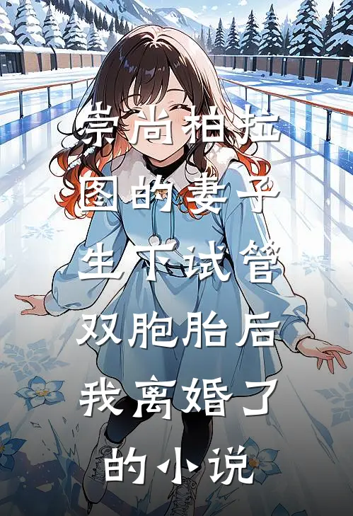 崇尚柏拉图的妻子生下试管双胞胎后，我离婚了的小说