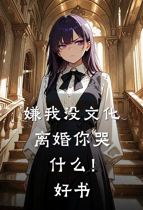 嫌我没文化，离婚你哭什么！好书