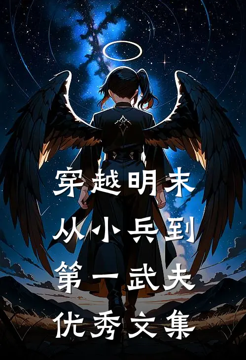 穿越明末：从小兵到第一武夫优秀文集