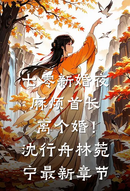 七零新婚夜，麻烦首长离个婚！沈行舟林菀宁最新章节