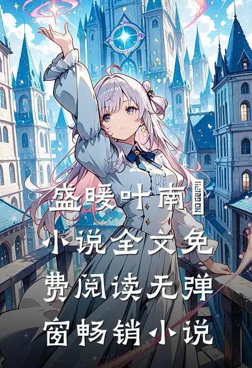 盛暖叶南烆小说全文免费阅读无弹窗畅销小说
