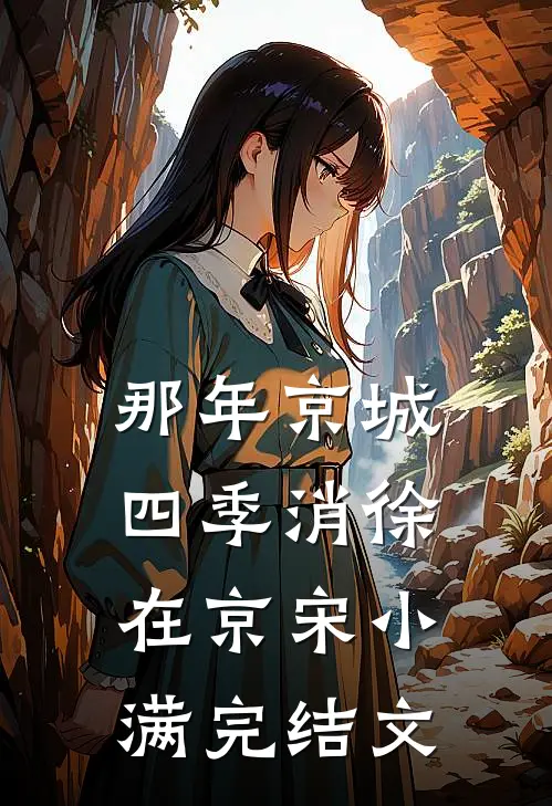 那年京城四季消徐在京宋小满完结文