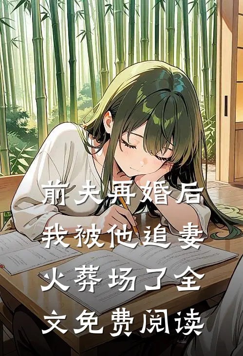 前夫再婚后，我被他追妻火葬场了全文免费阅读