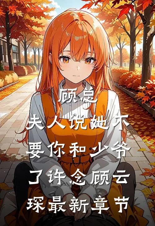 顾总，夫人说她不要你和少爷了许念顾云琛最新章节