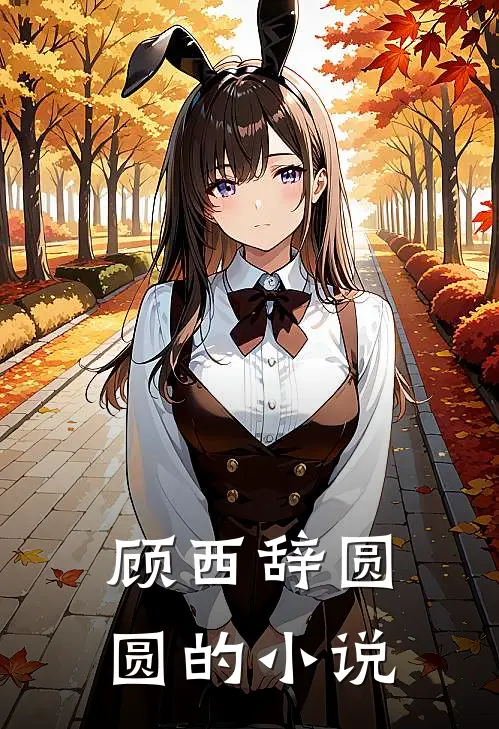 顾西辞圆圆的小说
