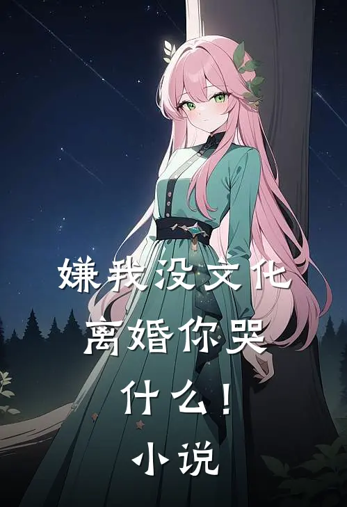 嫌我没文化，离婚你哭什么！小说