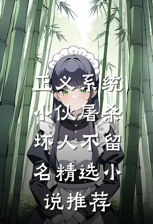 正义系统：小伙屠杀坏人不留名精选小说推荐