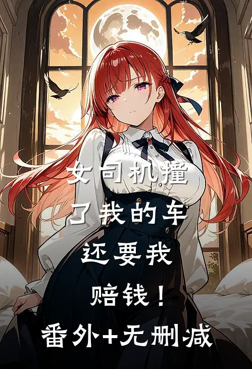 女司机撞了我的车，还要我赔钱！番外+无删减