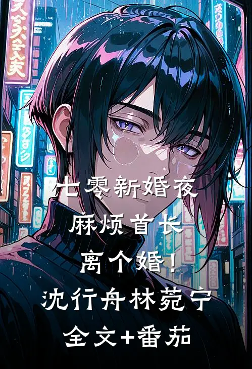 七零新婚夜，麻烦首长离个婚！沈行舟林菀宁全文+番茄