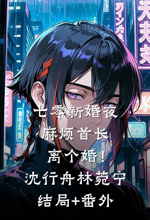 七零新婚夜，麻烦首长离个婚！沈行舟林菀宁结局+番外