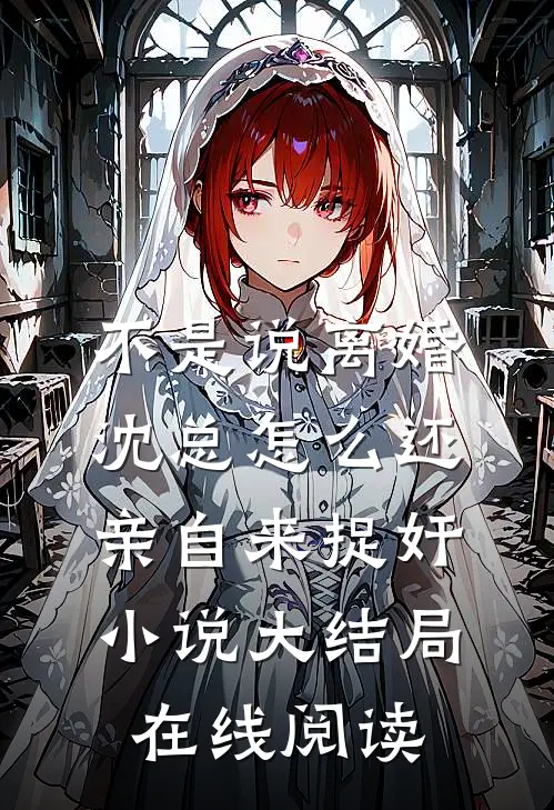 不是说离婚沈总怎么还亲自来捉奸小说大结局在线阅读