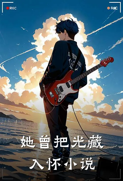 她曾把光藏入怀小说