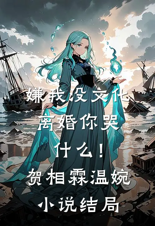 嫌我没文化，离婚你哭什么！贺相霖温婉小说结局