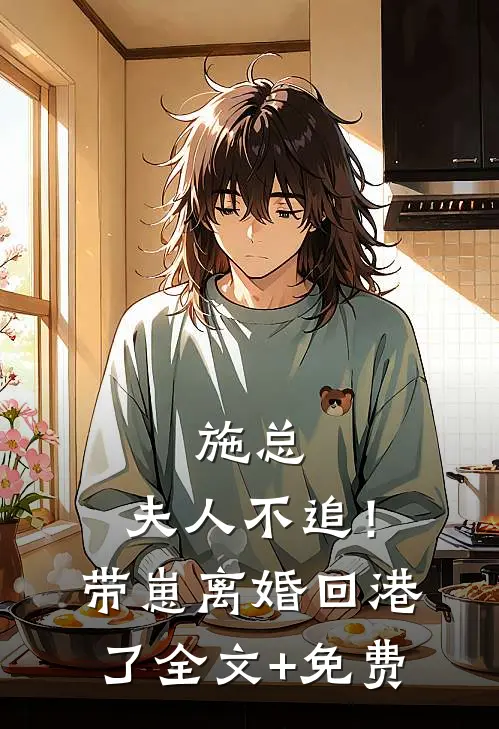 施总，夫人不追！带崽离婚回港了全文+免费