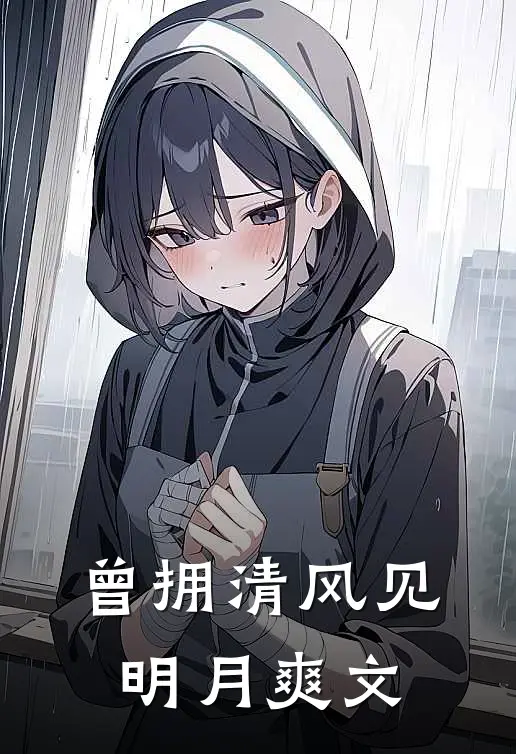 曾拥清风见明月爽文