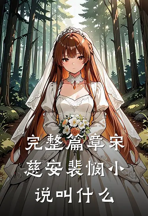 完整篇章宋慈安裴悯小说叫什么