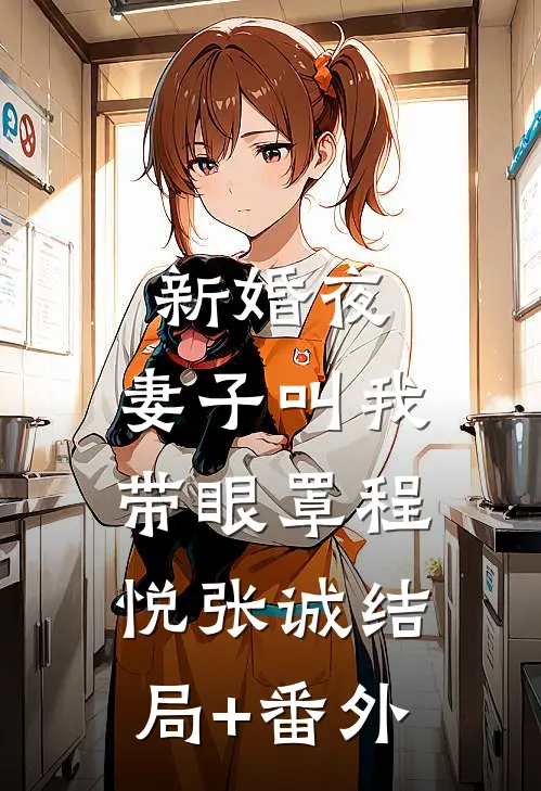 新婚夜，妻子叫我带眼罩程悦张诚结局+番外
