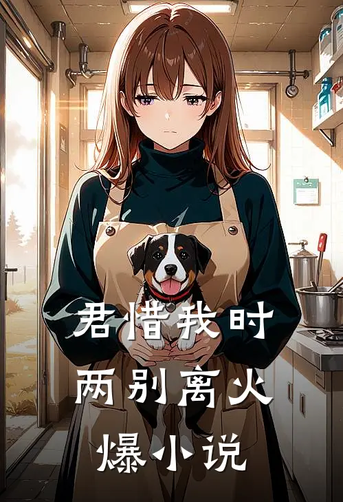 君惜我时两别离火爆小说