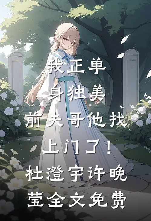 我正单身独美，前夫哥他找上门了！杜澄宇许晚莹全文免费