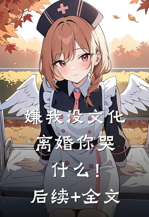 嫌我没文化，离婚你哭什么！后续+全文