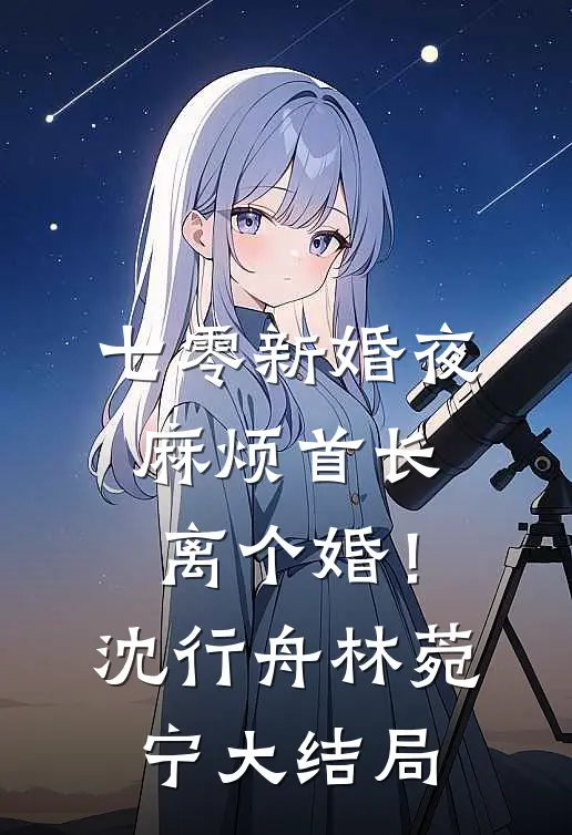 七零新婚夜，麻烦首长离个婚！沈行舟林菀宁大结局