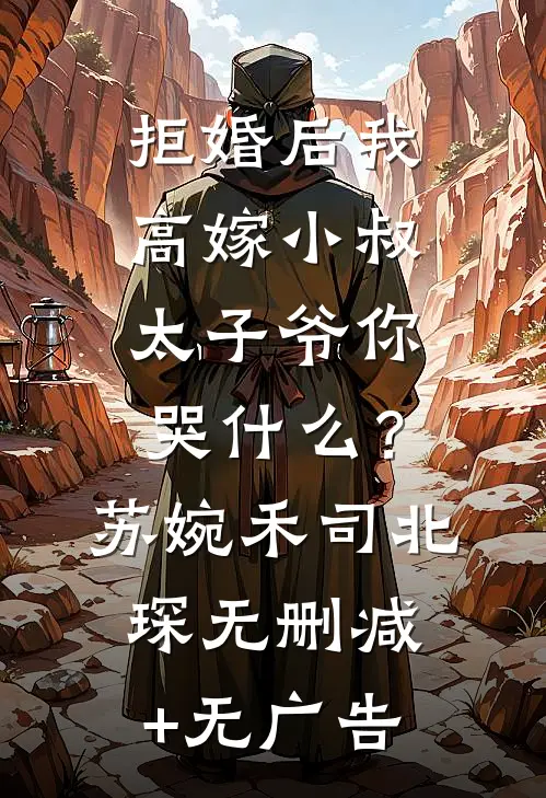 拒婚后我高嫁小叔，太子爷你哭什么？苏婉禾司北琛无删减+无广告