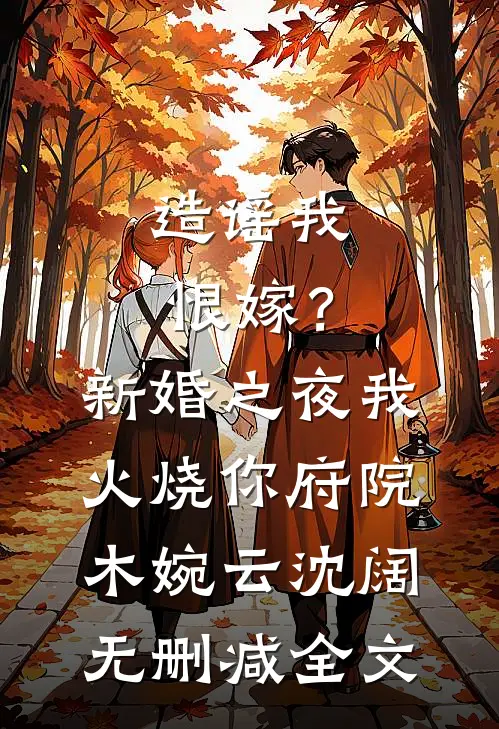 造谣我恨嫁？新婚之夜我火烧你府院木婉云沈阔无删减全文